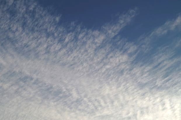 _DSC3003.JPG