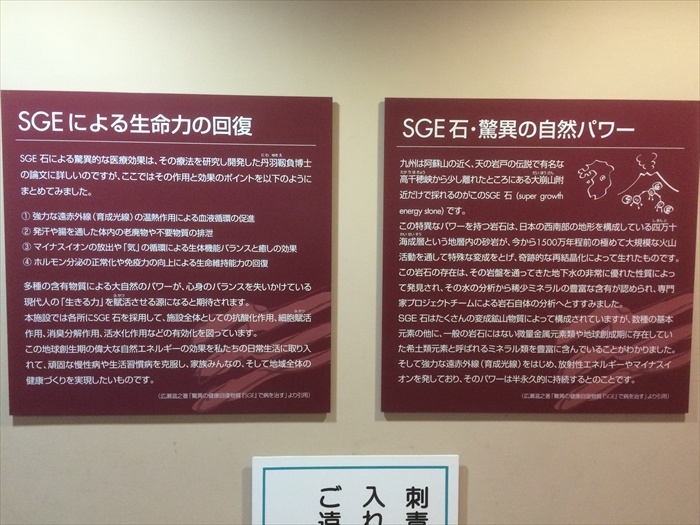 20150916 13244601.jpg