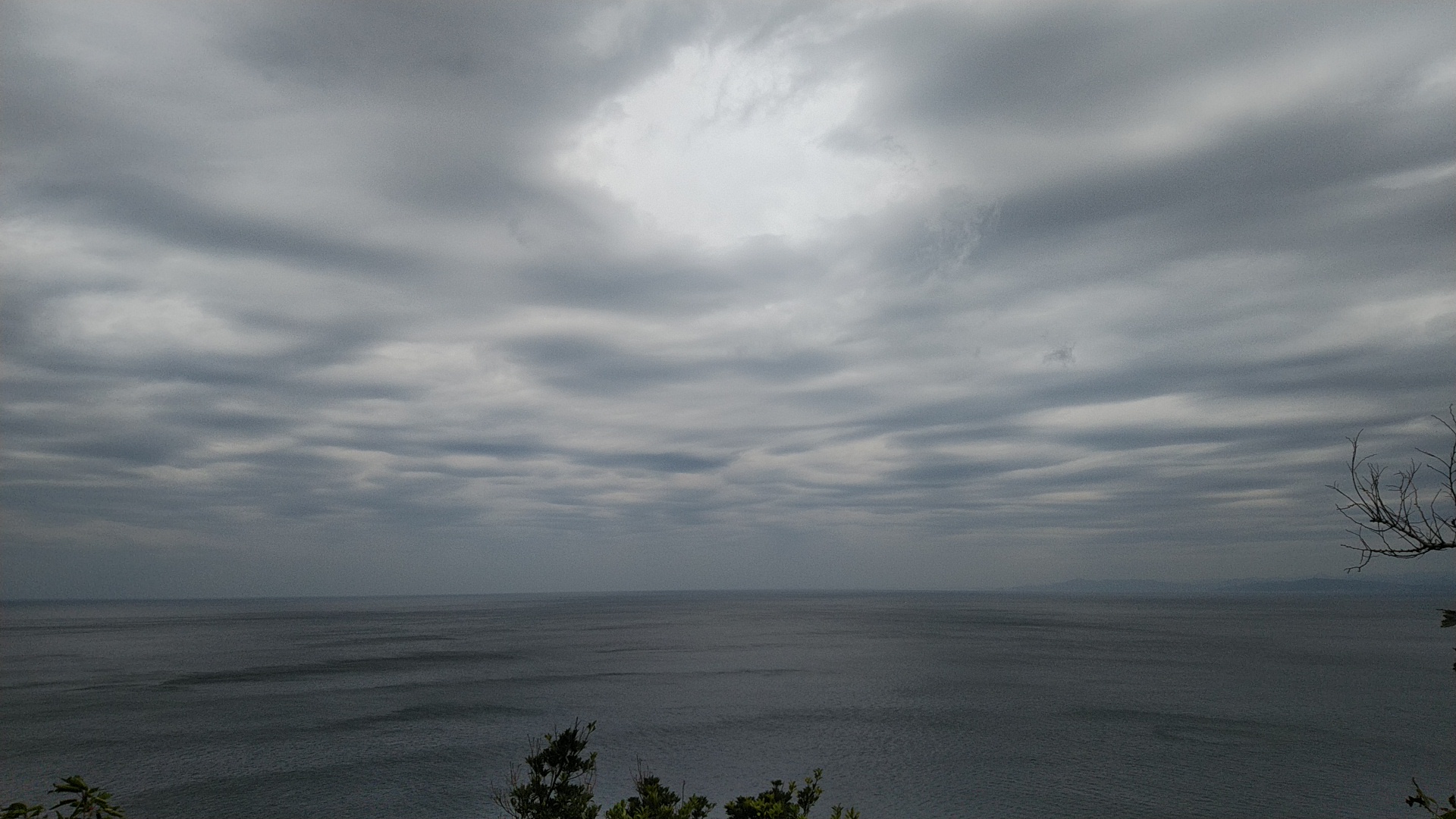 20191021  DSC_0002.jpg.jpg