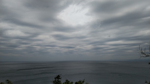 20191021  DSC_0002.jpg.jpg