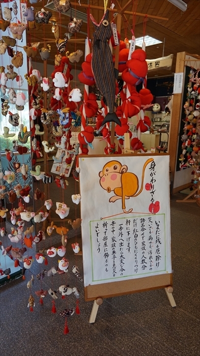 20160127 12351301.JPG