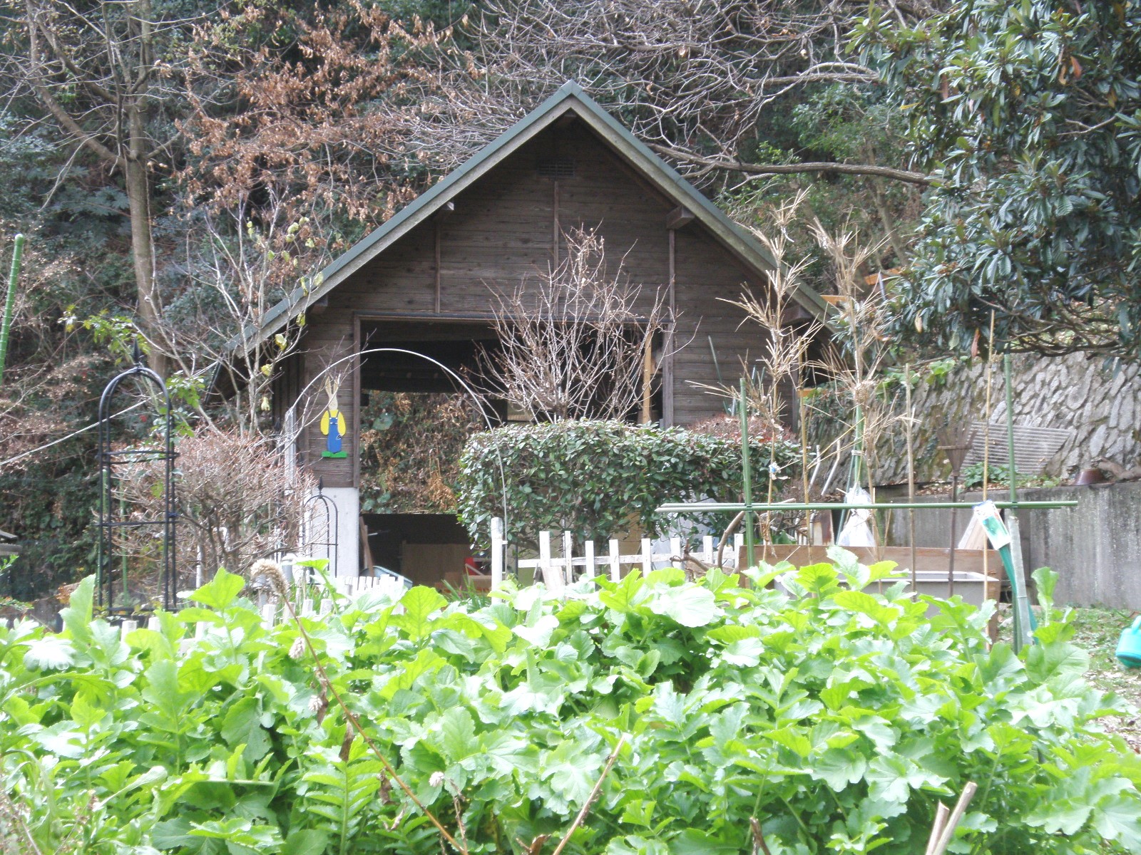 P1071741.JPG
