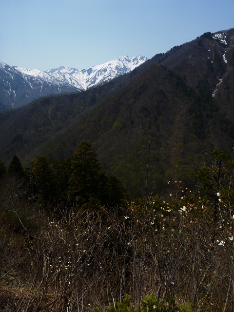 春山1.jpg