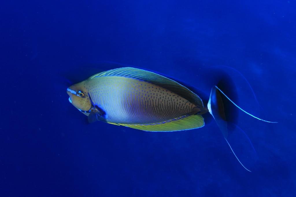 IMG_4267 (1024x683).jpg