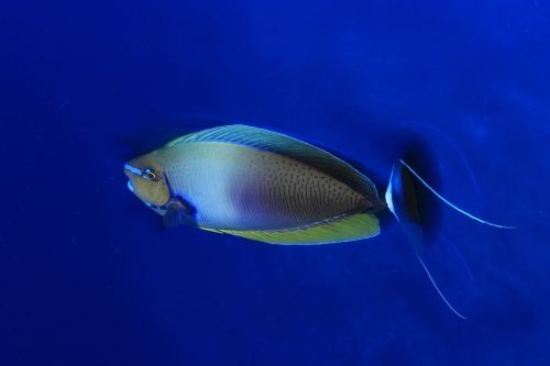 IMG_4267 (1024x683).jpg