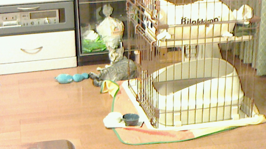 NEC_0011.JPG