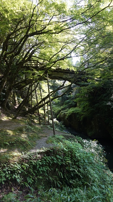 20150915 13340101.jpg