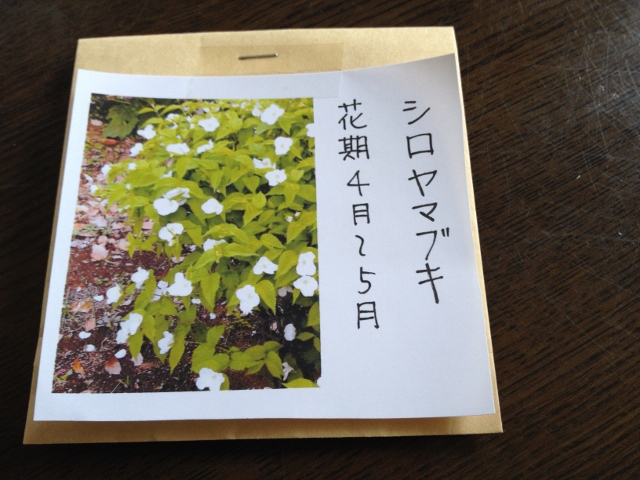 IMG_7013 (640x480).jpg