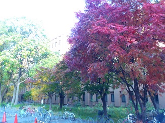 北海道大学03.jpg