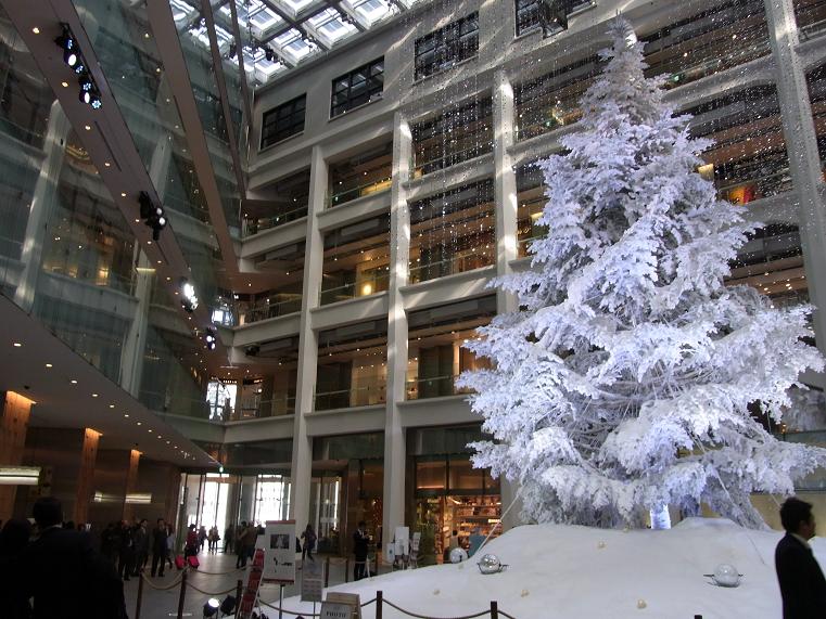 キッテ ツリー.JPG