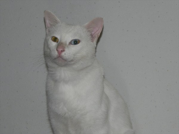 C:\fakepath\DSCN3877_R.JPG