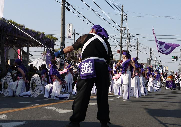 P1260975go40.jpg