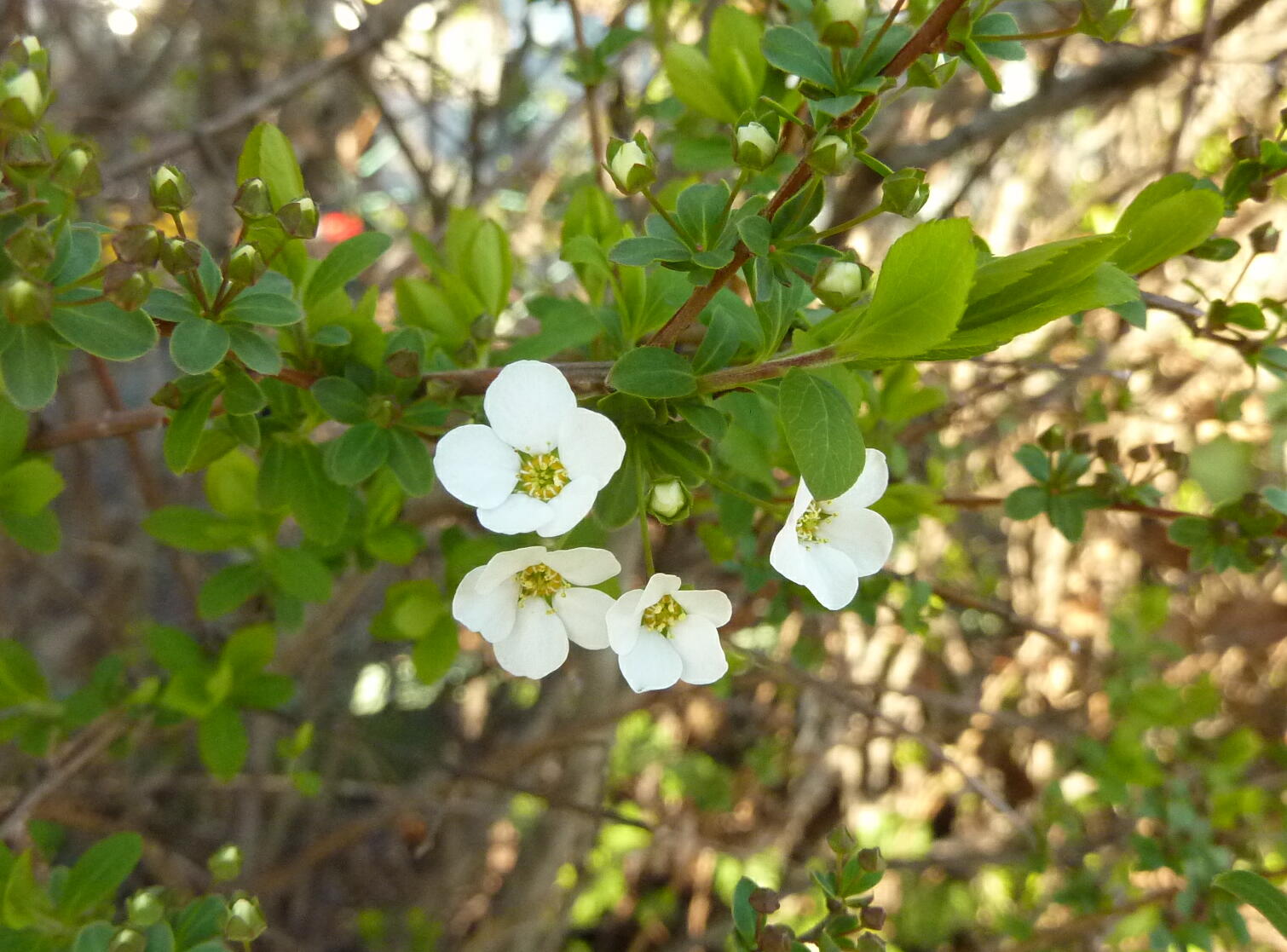 140323-1-2.jpg