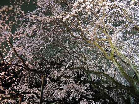3月29日.JPG