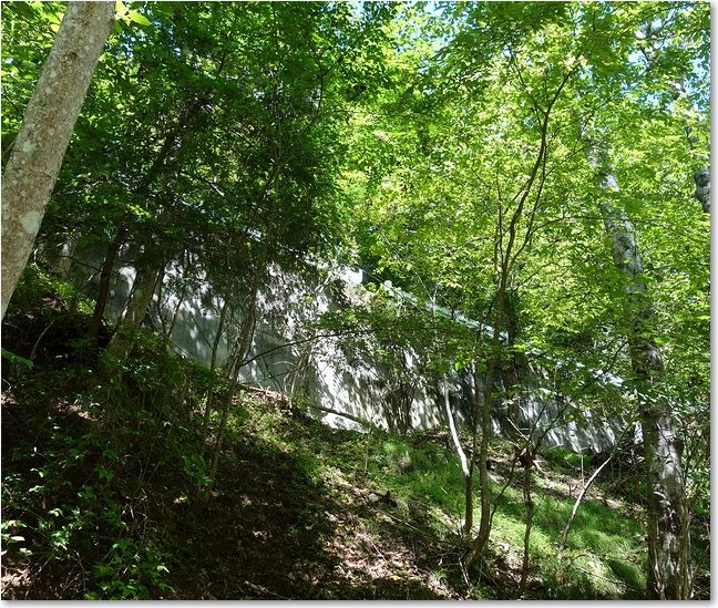 59左上に林道？