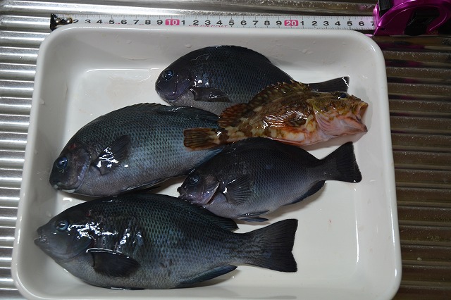 showPhoto (640×426)