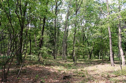 0508-1.jpg