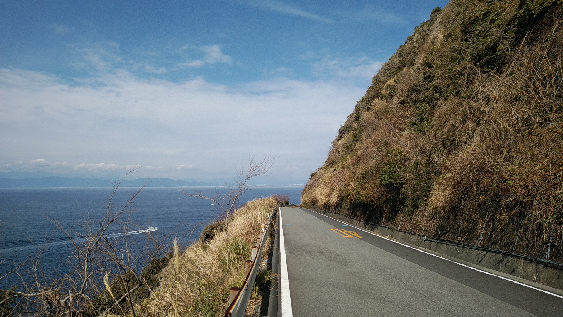 20200220  DSC_0002.jpg.jpg