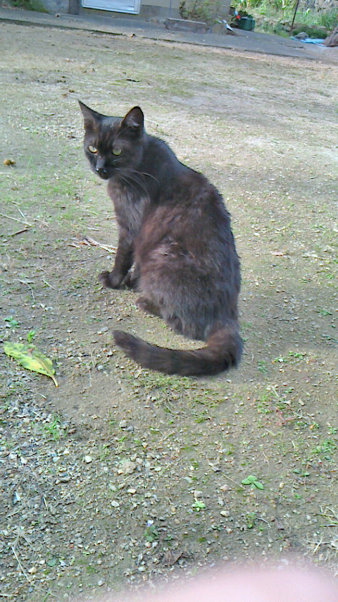 NEC_0011.JPG