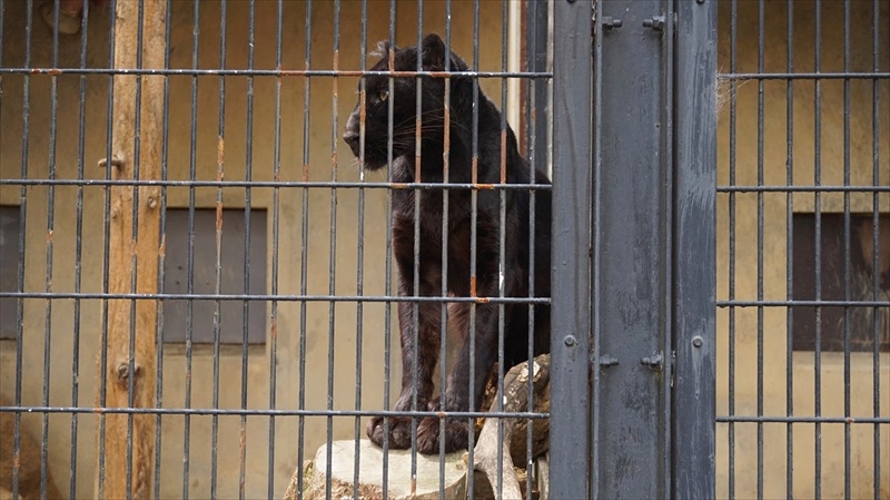 20150420 11372201.JPG