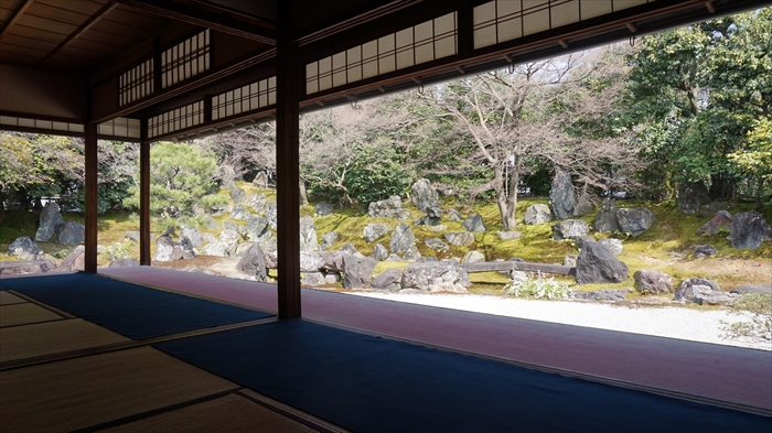 20160323 13233601.JPG