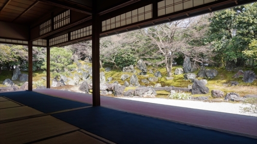 20160323 13233601.JPG