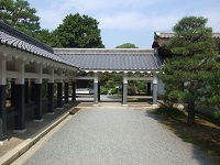 116.jpg