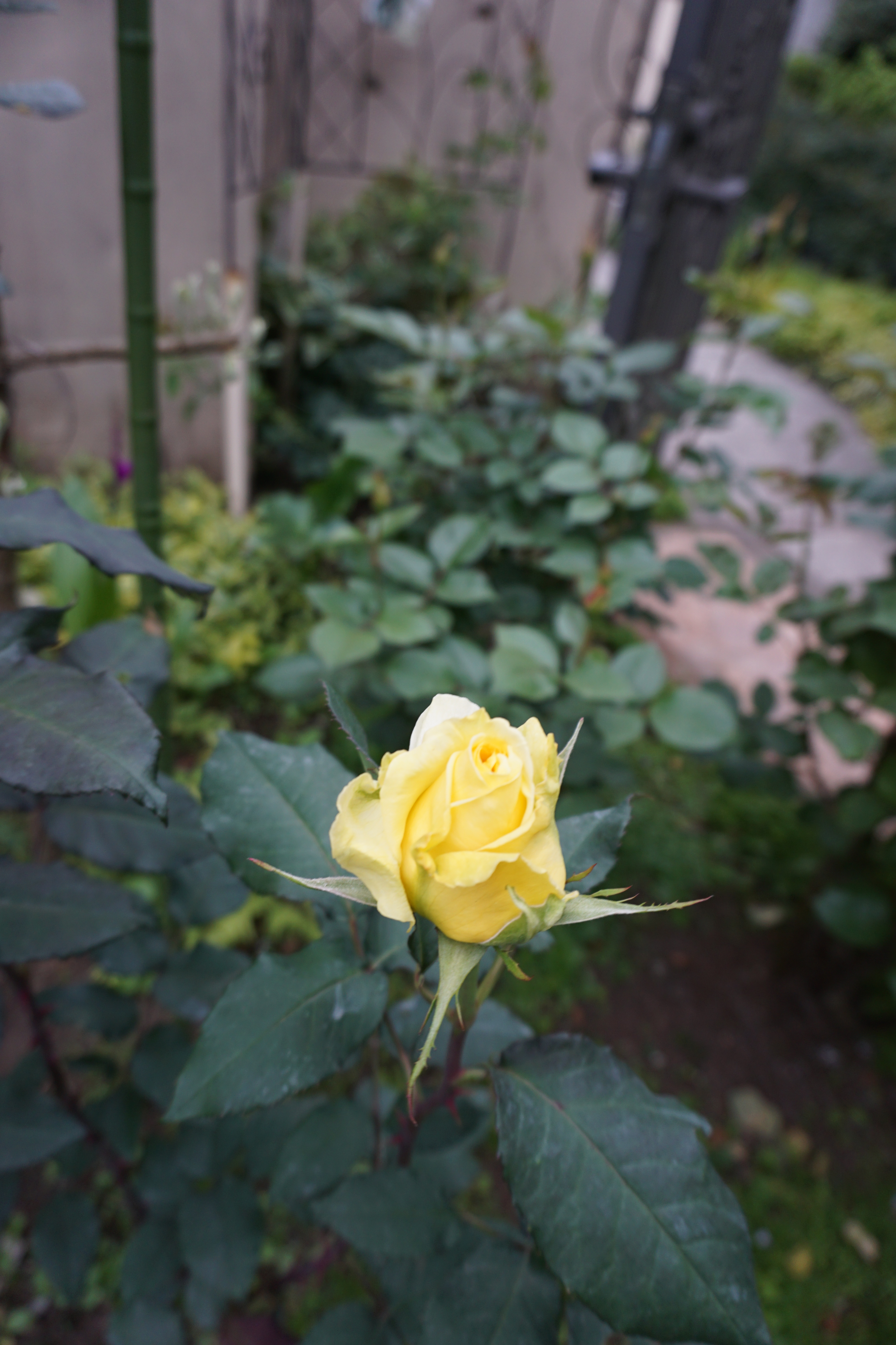 2023年4月3-1.JPG