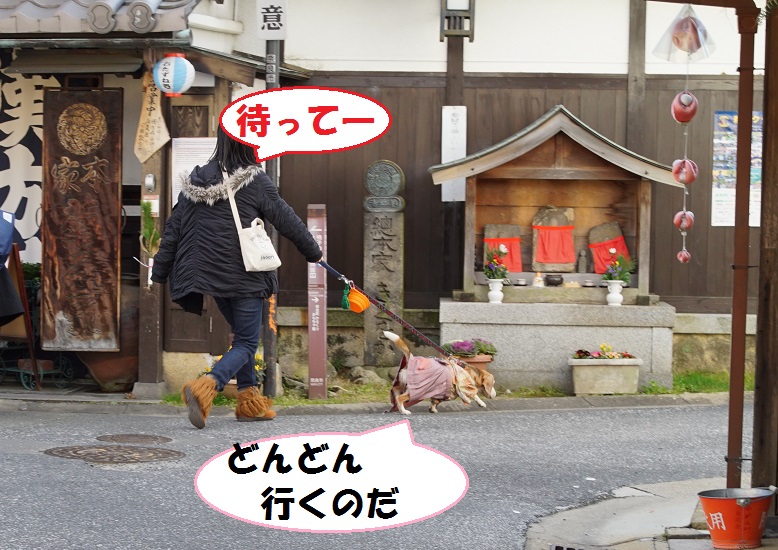 DSC01059.jpg