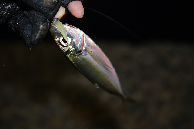 showPhoto (640×426)