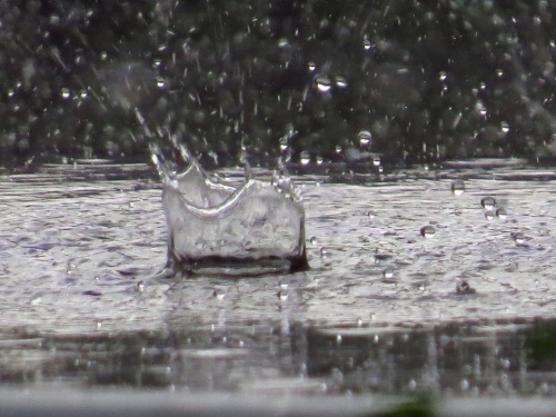 夕立、雨の王冠8119.jpg