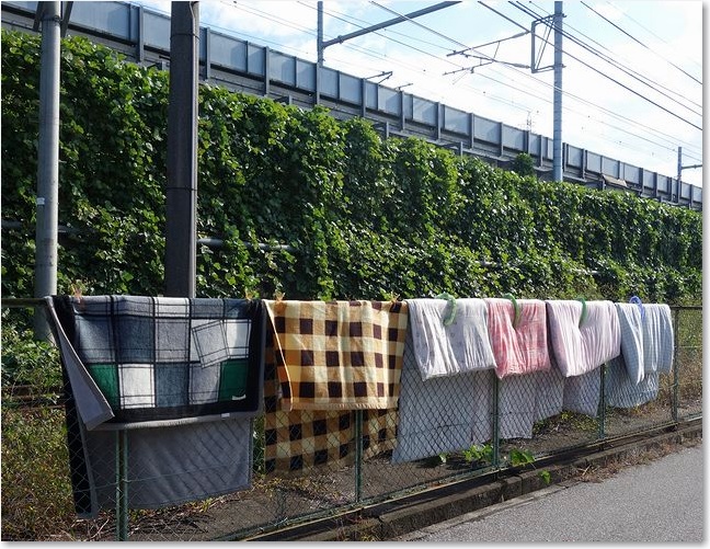 04近江鉄道の柵に