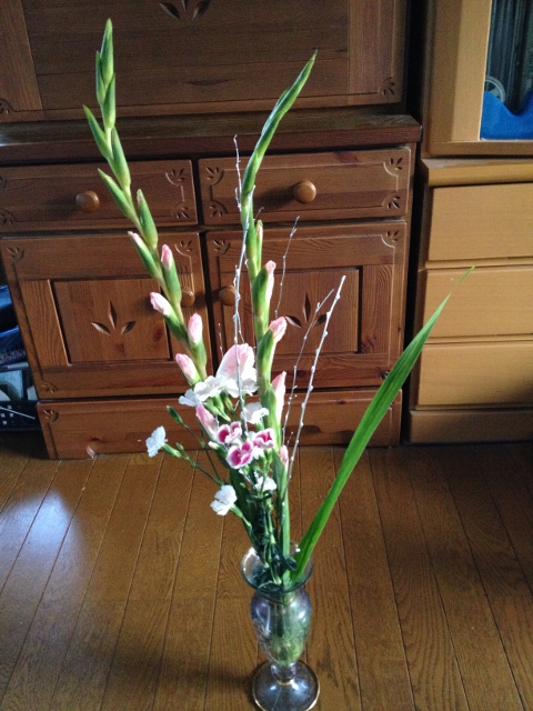 IMG_2642 (480x640).jpg