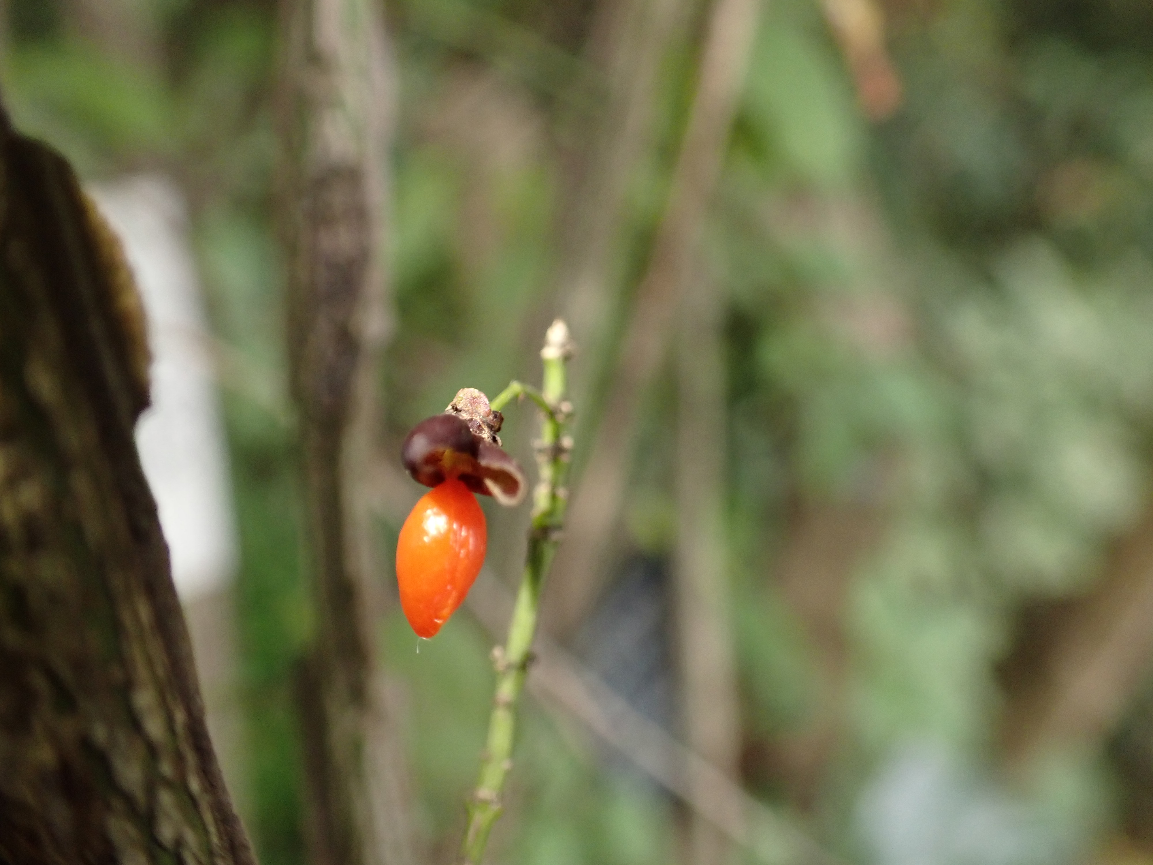 _A210158.JPG