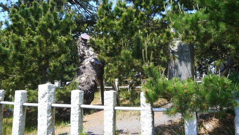 20150510 10383701.JPG