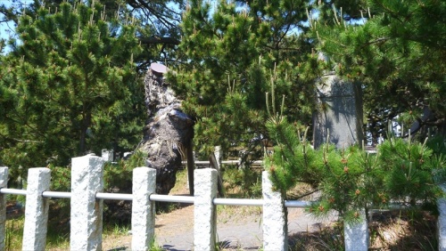 20150510 10383701.JPG