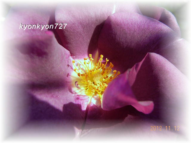 DSCN9725.jpg