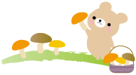 kinokokuma.jpg