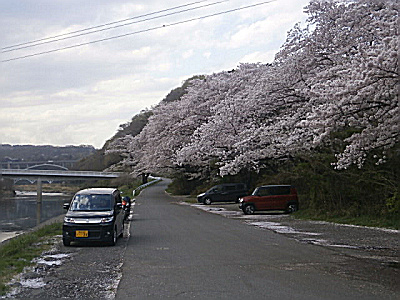 s相模川＋2017_0413_163401.jpg