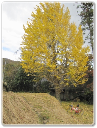 0919安芸高田市小原付近_0919.jpg