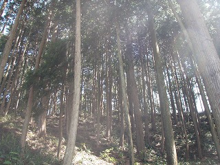 P4280014.jpg