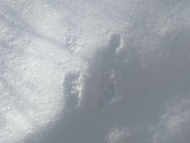 220129ashiato3.jpg