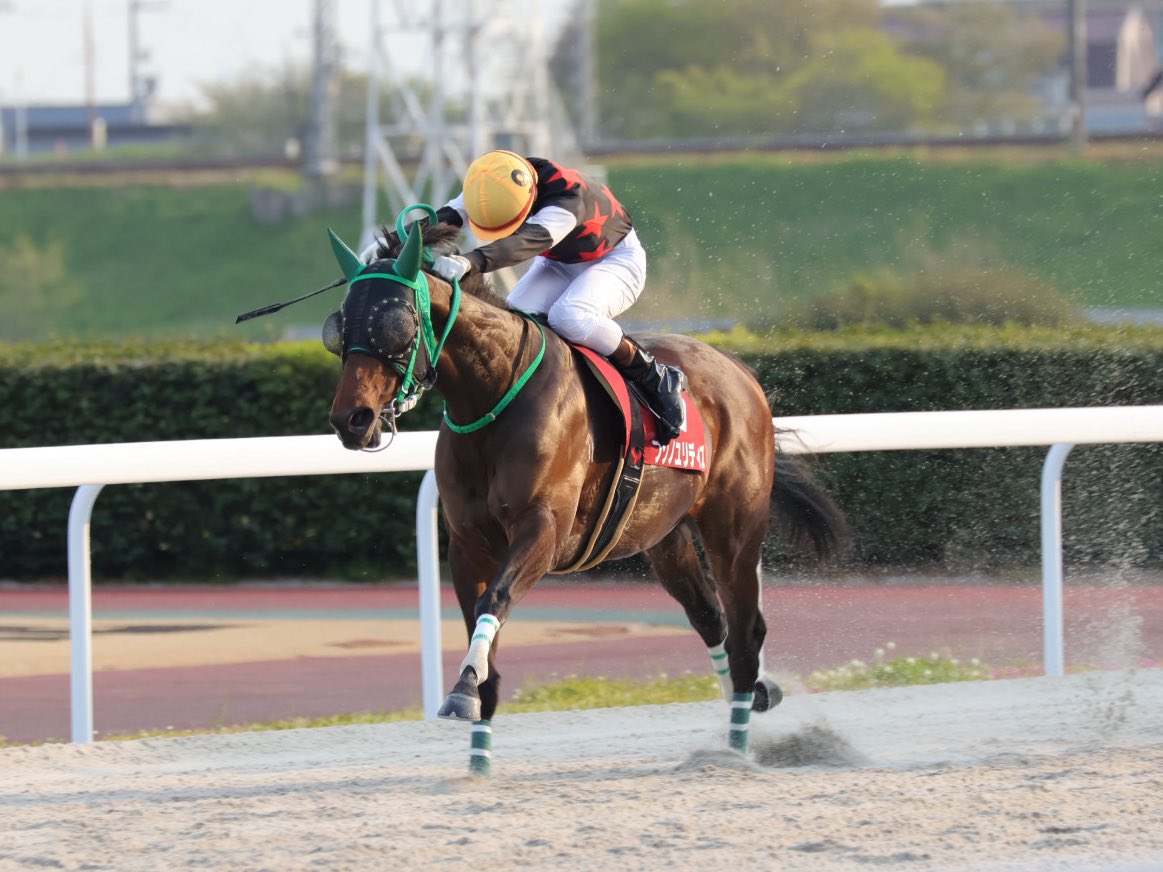 飛山濃水杯２５バンコロａ.jpg