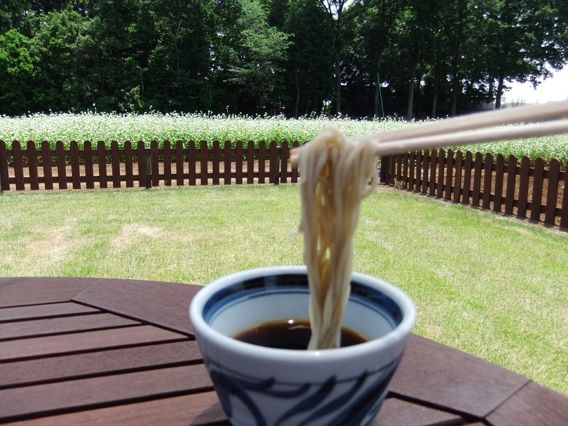 みよしそばの里＠三芳町の十割そば３20120604.JPG