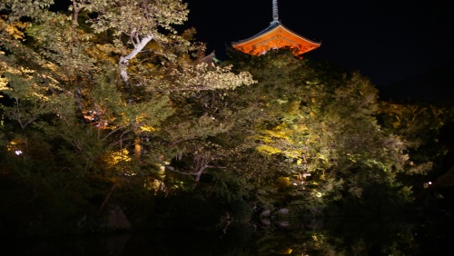 清水寺 庭園.jpg