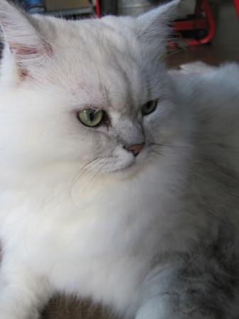 IMG_1326a.JPG