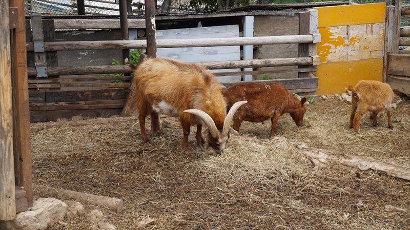 20150420 11300401.JPG