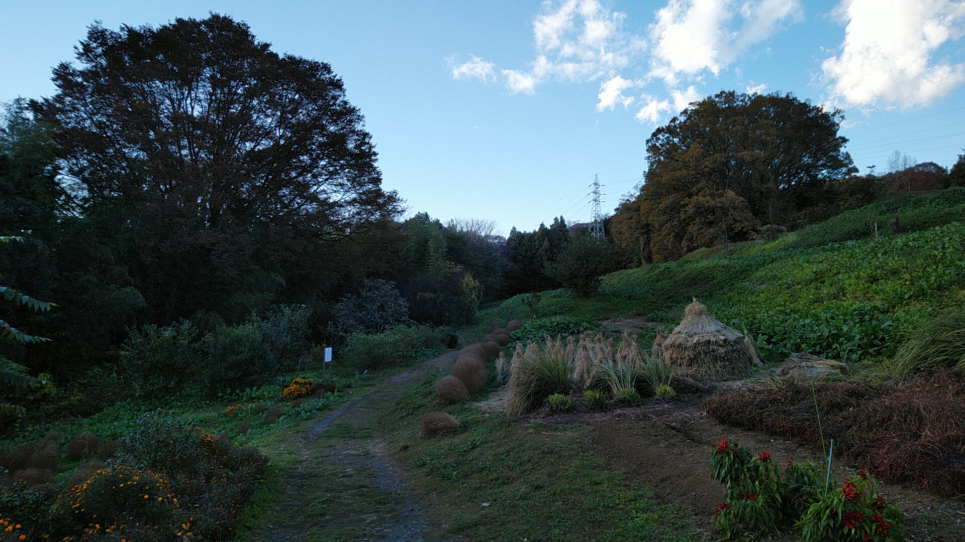 20211127  DSC_0002.jpg