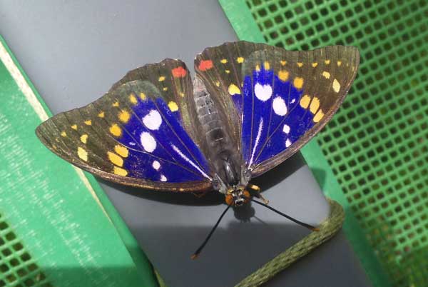 201200715-3.jpg