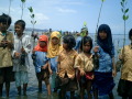 LGW2008Indonesia ﾏﾝｸﾞﾛｰﾌﾞ植林#1